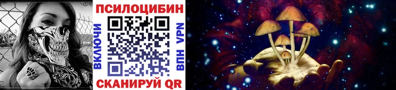 ОМГ ОМГ ссылка  наркота  Туран  Галлюциногенные грибы Psilocybe 